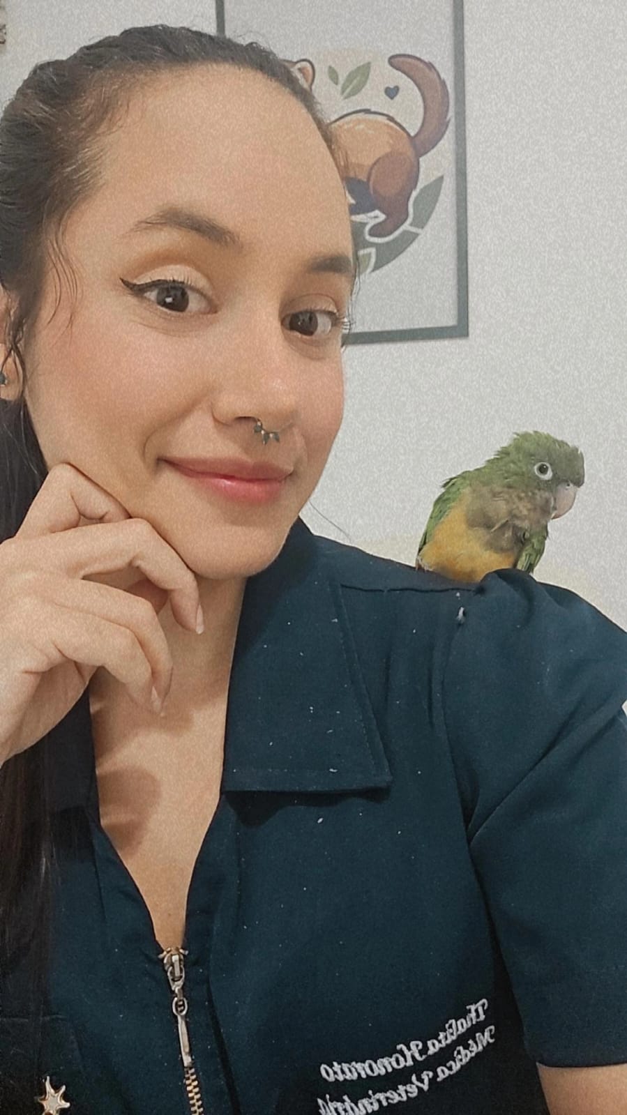 Paciente atendido na Mako Clínica Veterinária